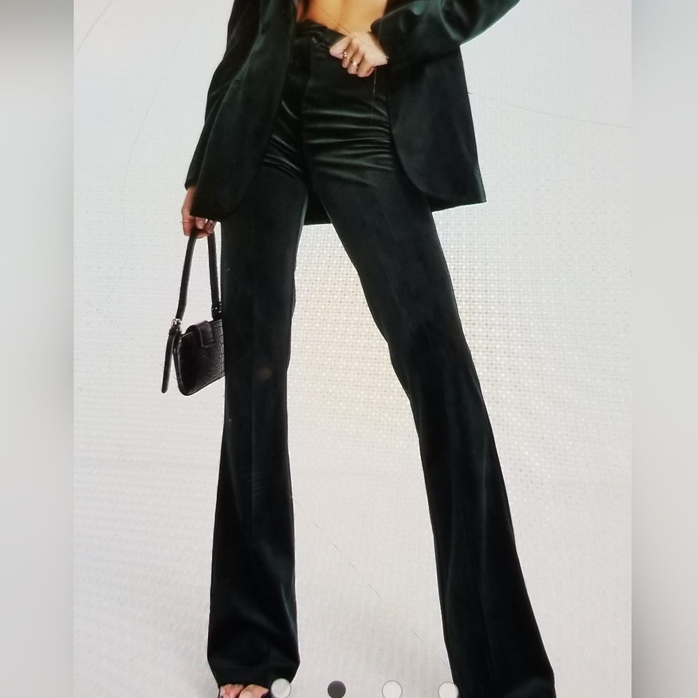 Elegant Talored Green Velvet Women's Pants Size 0 NWOT